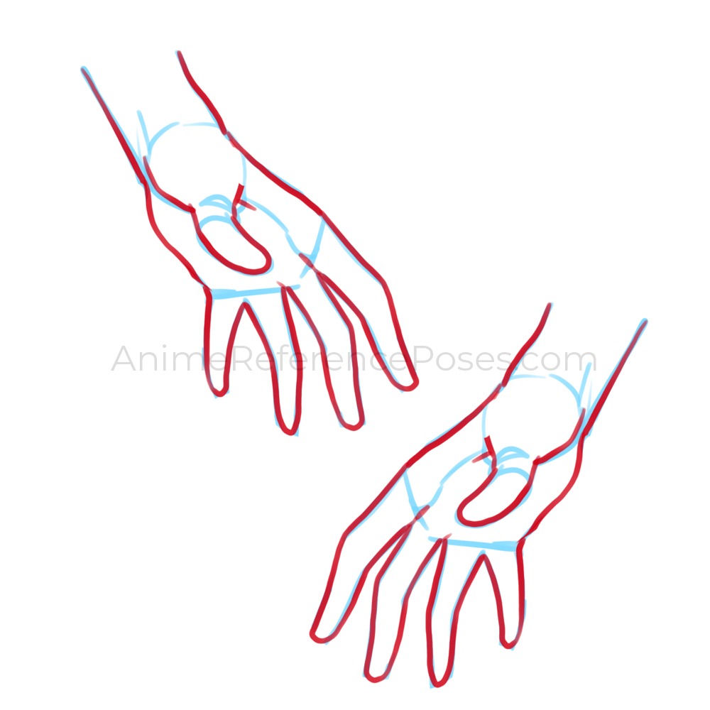 hand reference drawing