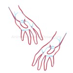 Anime Hand Poses - Free Drawing References